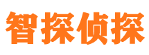 夏河寻人公司